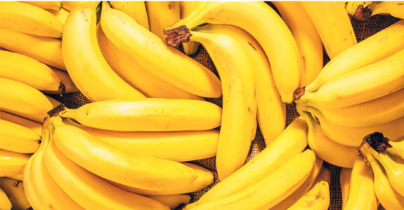 La banane et le vieillissement en bonne santé : bienfaits du fruit et trésors cachés du bananier